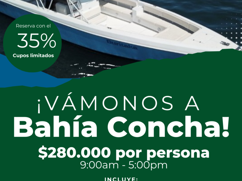 Lancha tipo yate hermosa